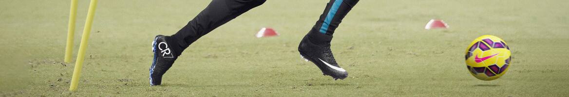 Dick's Sporting Goods banner - Rakuten coupons and Cash Back